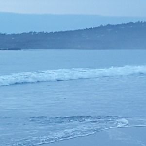 Meet your Posher, Lucy